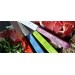Opinel n°112 Set of 4 Paring Knives 10cm with colourful handles