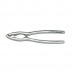 Stainless Steel Manual Nutcracker - functional and easy to use