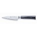 Tamahagane Kyoto Japanese Paring Knife 9cm VG5 steel core